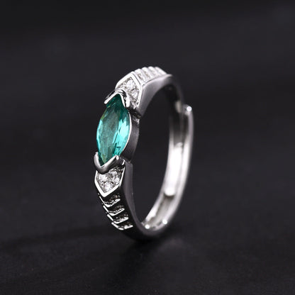 💥Last Day Promotion 80% OFF - 🔥DIYSTAR Magnetology Moissanite Diamond Ring💖